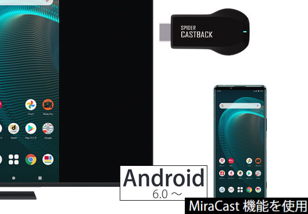 MS-CAST01